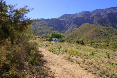 Tierhoek Pepper Tree Cottage