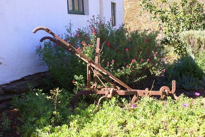 Tierhoek Pepper Tree Cottage