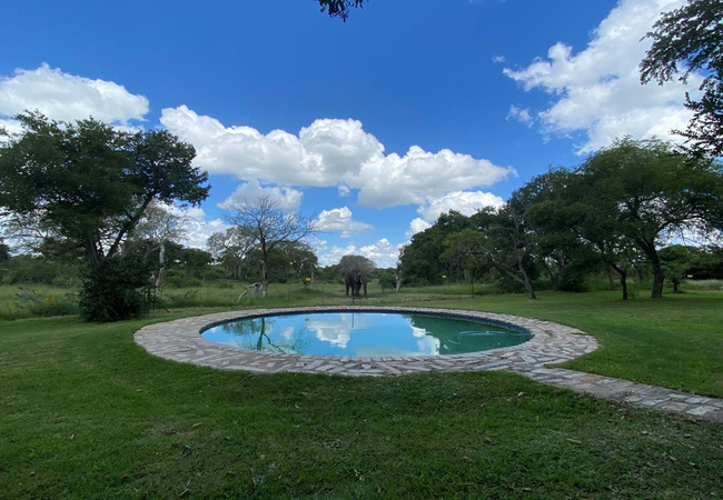 Timbavati Homestead