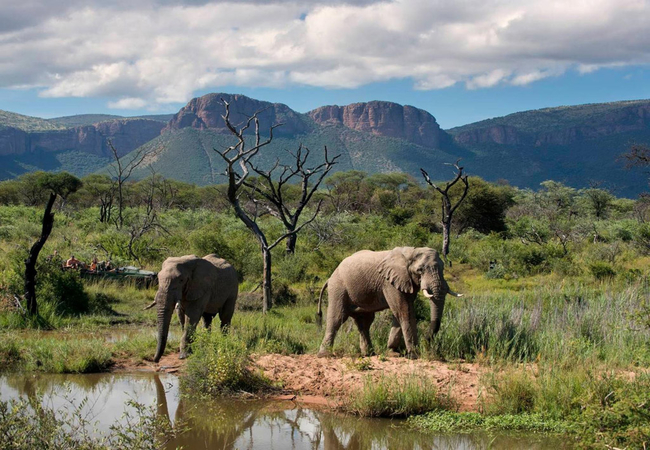 Tintswalo Family Camp 