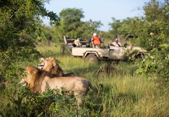 Game Drives in Greater Kruger
