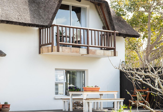 Tree Aloe Guest House