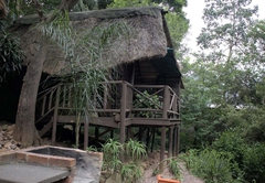 Treehouse River Lodge