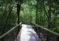 Trogon House & Forest Spa