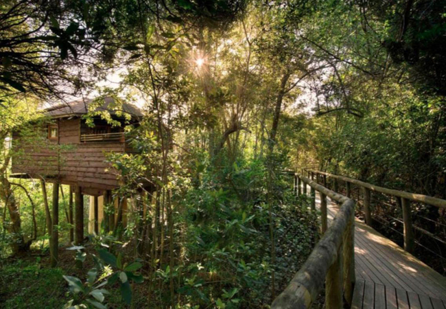 Tsala Treetop Lodge