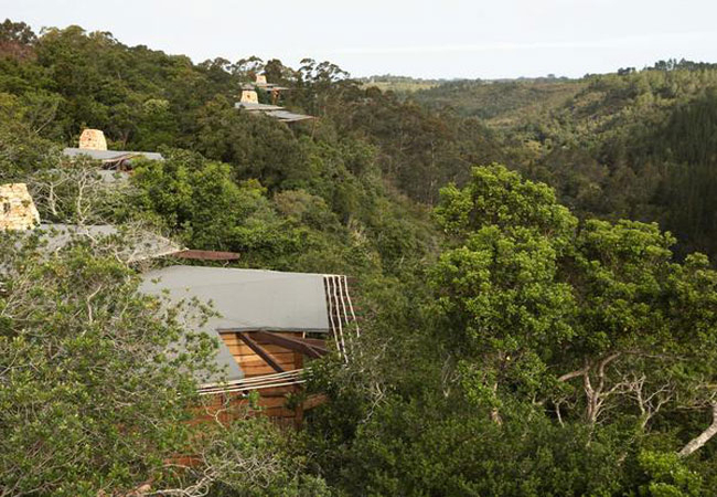 Tsala Treetop Lodge