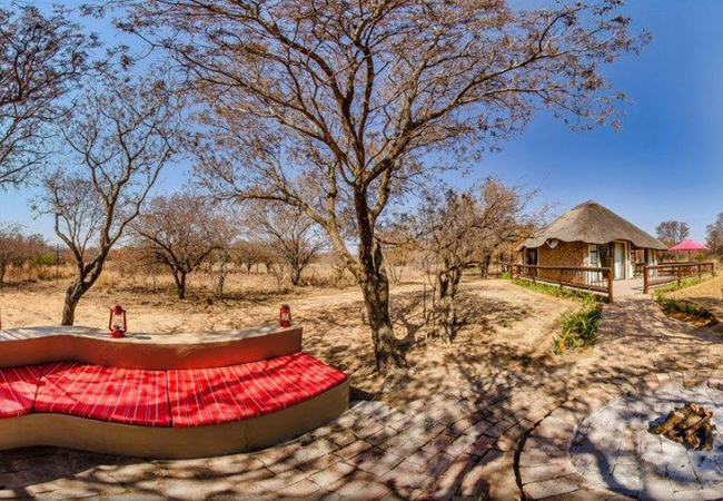 Tshikwalo Game Lodge