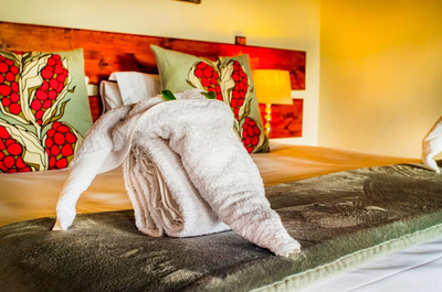 Tshikwalo Game Lodge