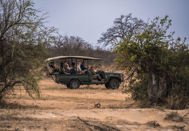 Game Drive and Wildlife