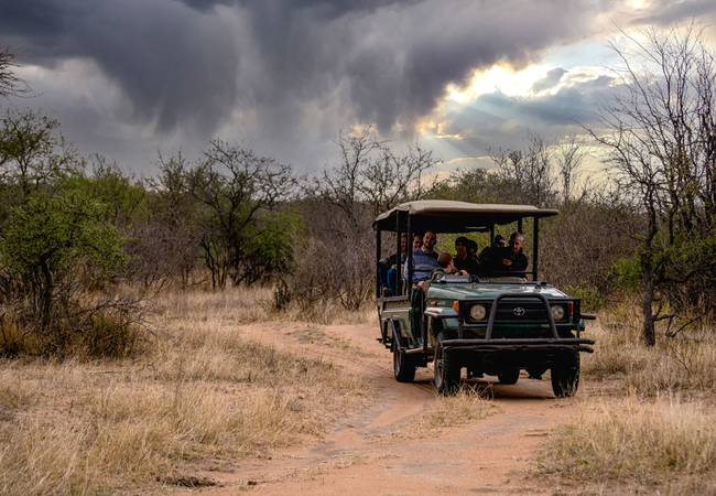 Game Drive and Wildlife