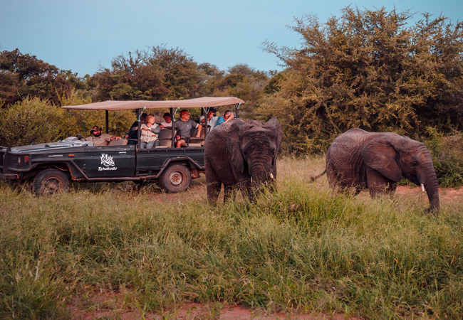 Game Drive and Wildlife