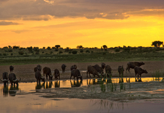 Tswalu Kalahari Reserve