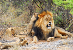 Tswalu Kalahari Reserve