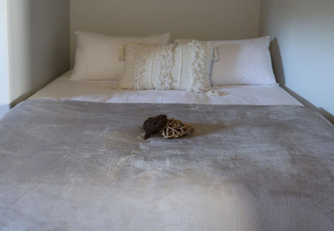 Tula Guest Farm House