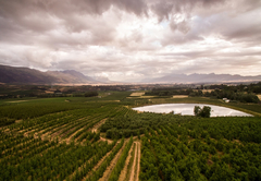 Tulbagh Mountain Manor