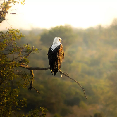 Tumbeta Private Game Reserve