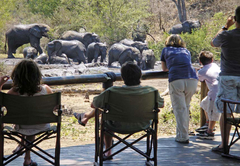 Tuningi Safari Lodge