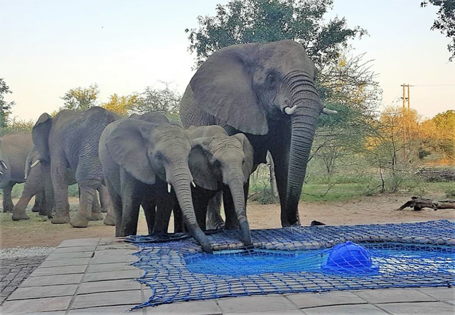 Twiga Lodge