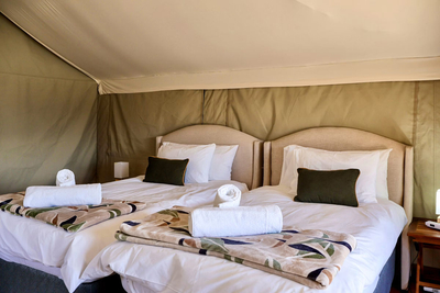Twilight Glamping Tent