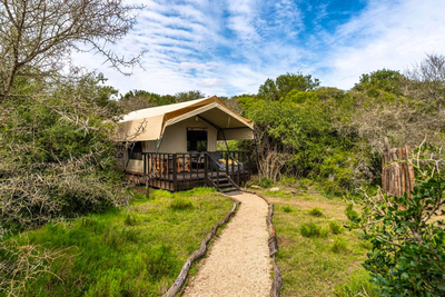 Luxury Tents
