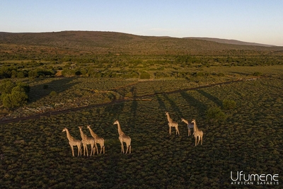 Ufumene Game Lodge