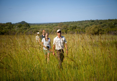 Ulusaba Game Reserve
