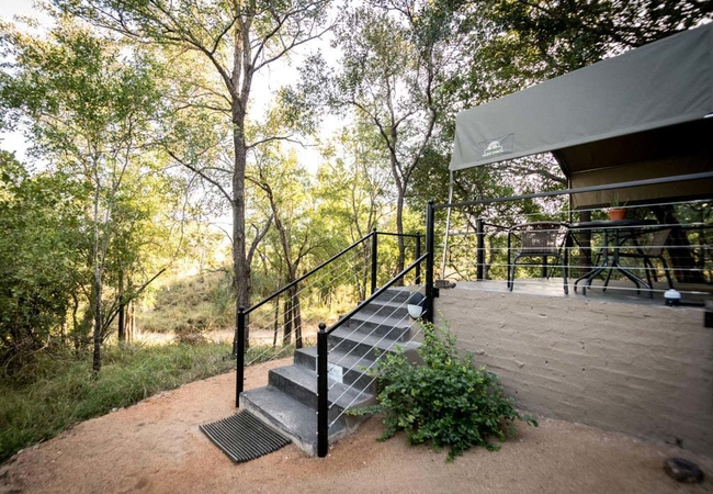 Leadwood Luxury Tent