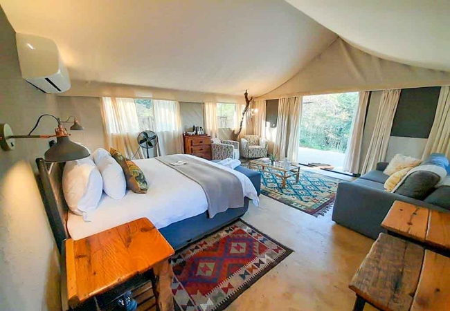 Zebra Wood Superior Tent