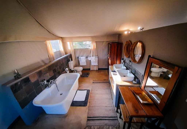 Zebra Wood Superior Tent