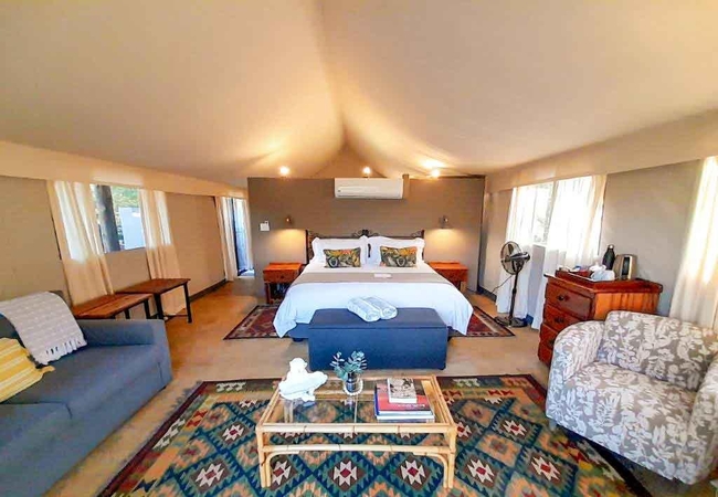 Leopard Tree Superior Tent