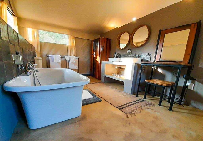 Leopard Tree Superior Tent