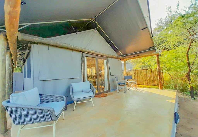 Leopard Tree Superior Tent