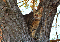 Umlani Bushcamp