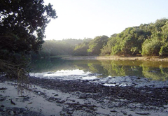 Umtendwe Beach Cottages