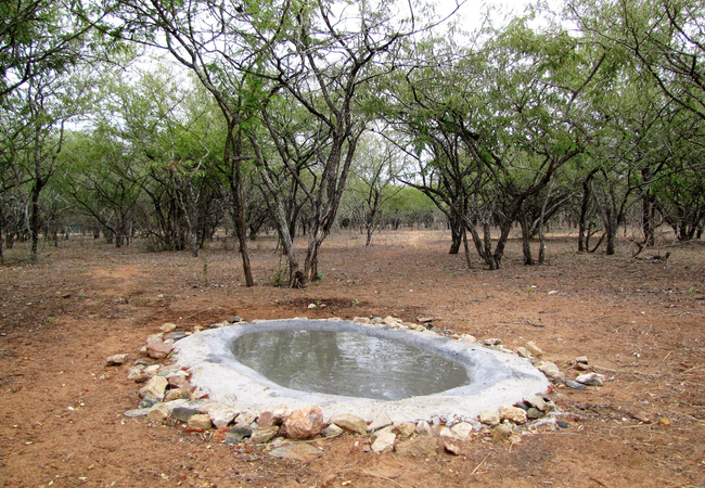 Waterholes at Umvangazi Rest