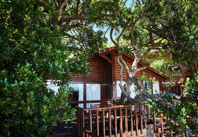 Under Milkwood Self Catering Chalets