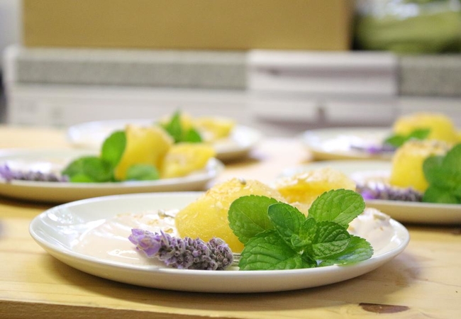 Under Oaks The Vineyard Suites