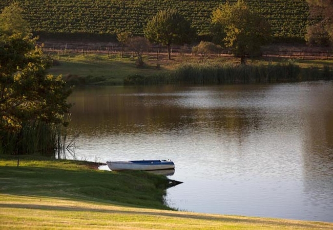 Under Oaks The Vineyard Suites