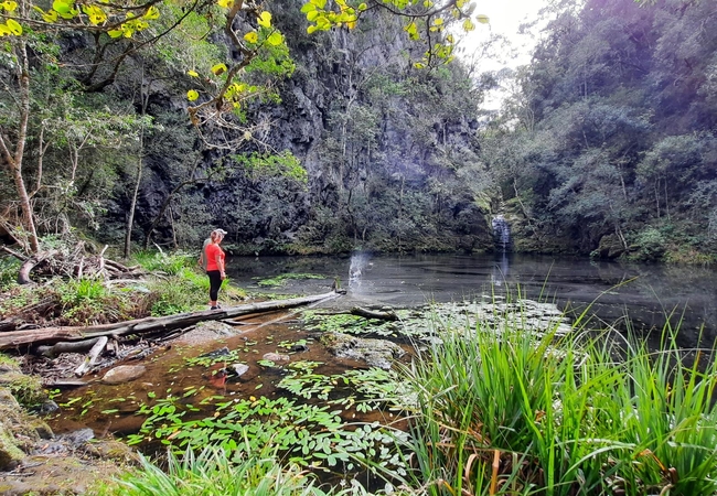 Moon Shine on Whiskey Creek