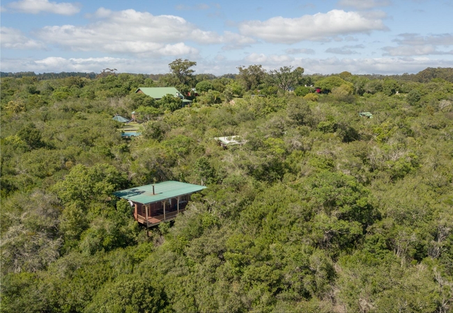 Moon Shine on Whiskey Creek