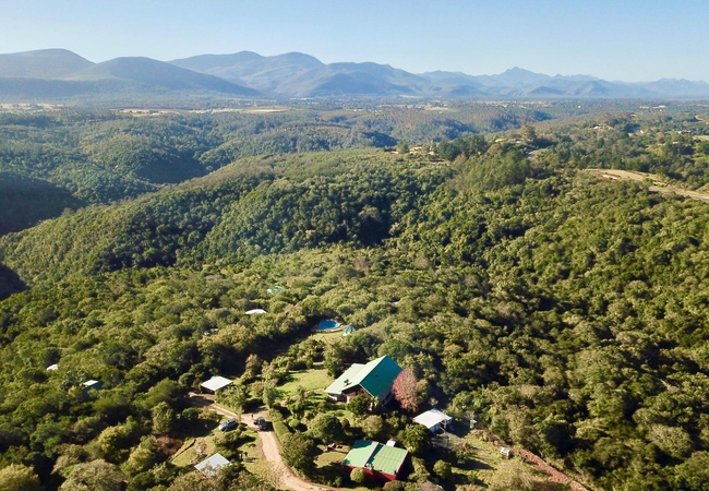 Moon Shine on Whiskey Creek