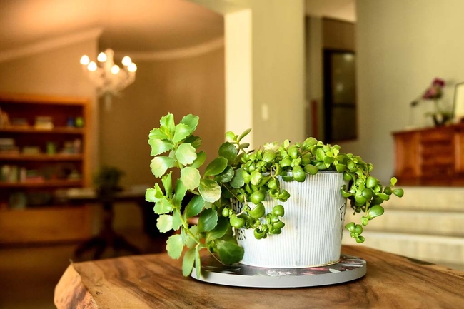 Victorious on Whites Road