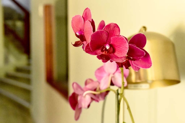 Victorious on Whites Road