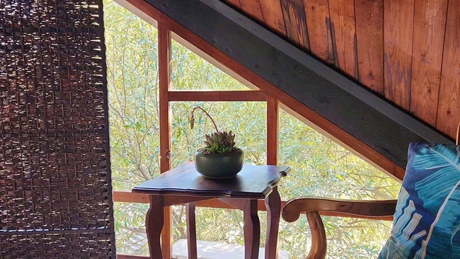 Victorious on Whites Road