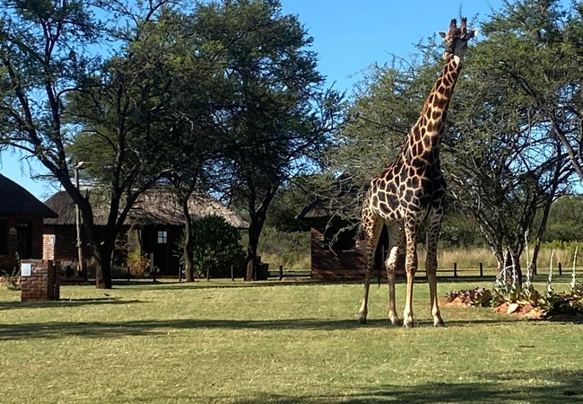 Vilagama Private Game Lodge