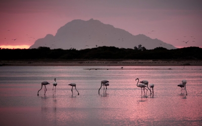 VillaChad Guesthouse