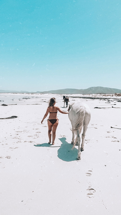 Exclusive Use Luxury Villa