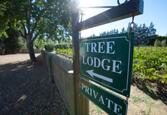 Tree House Family Lodge