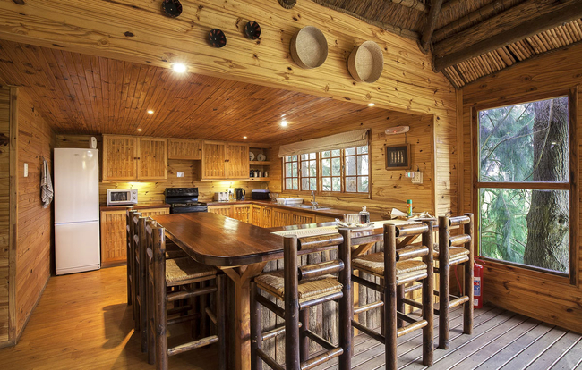 Tree House Family Lodge