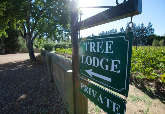 Vindoux Tree Lodge